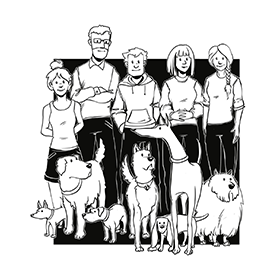 Grupinės treniruotės - SMARTDOG